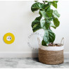 Double bouton poussoir à push en métal jaune - Zangra