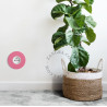 Bouton poussoir à push en métal rose - Zangra