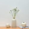 Bougie POM' GLOW Blanc Patchouli - Opjet Paris