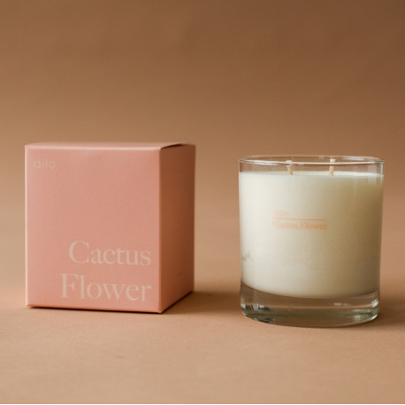Bougie cactus flower - Dilo