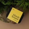 Cônes d'encens parfumés hinoki sesame - Dilo