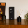 Diffuseur à batonnets N°2 amber and oakmoss collection shades - Dilo