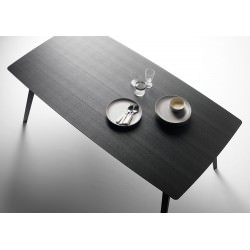 Table Aise Plateau Ovale (extensible) - Treku