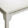 Table FK07 FRANKFURT 200*100 cm (2 finitions disponibles- e15