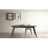 Table Aise Plateau Ovale (extensible) - Treku