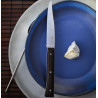 Coffret de 4 couteaux de table "Facette" en frêne sombre - Opinel