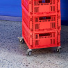 Set de 4 roulettes Colour Crate Large - Hay