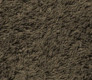 Kaki