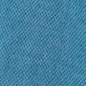 Bleu Canard